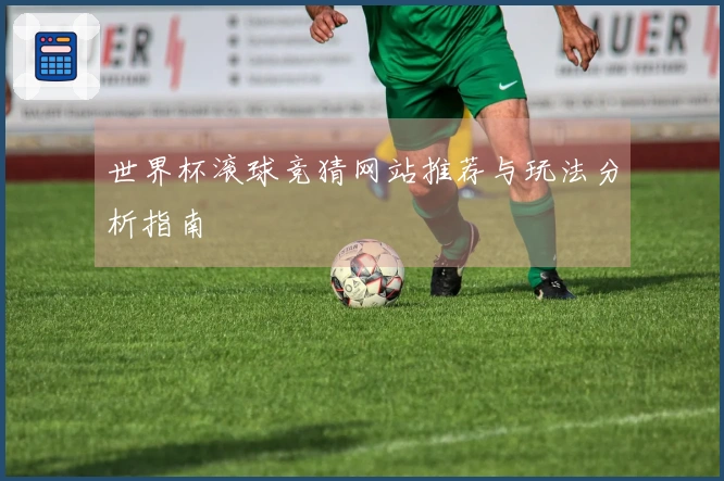 世界杯滚球竞猜网站推荐与玩法分析指南
