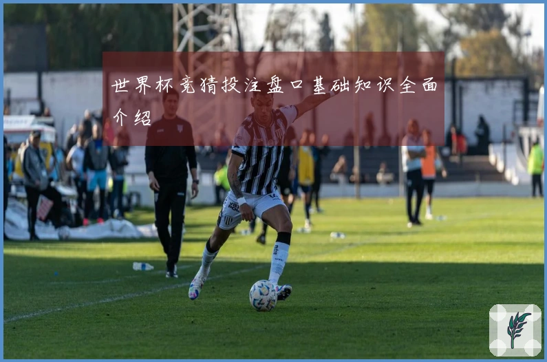 世界杯竞猜投注盘口基础知识全面介绍