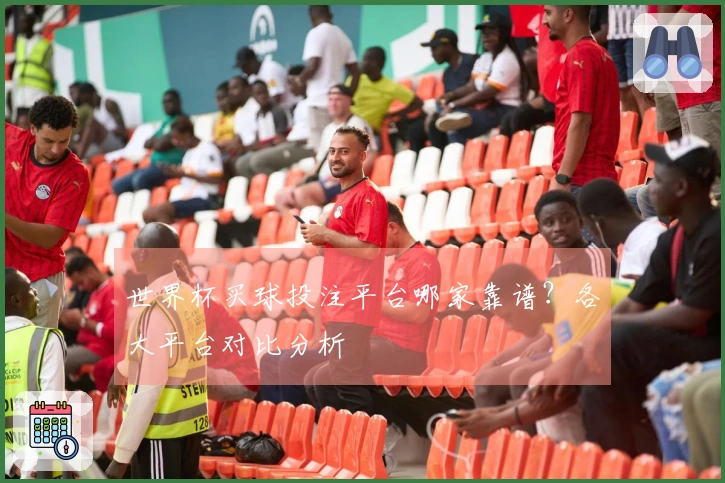 世界杯买球投注平台哪家靠谱？各大平台对比分析