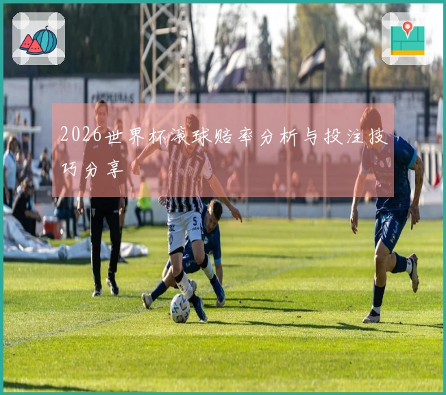 2026世界杯滚球赔率分析与投注技巧分享