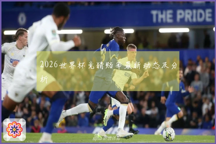 2026世界杯竞猜赔率最新动态及分析
