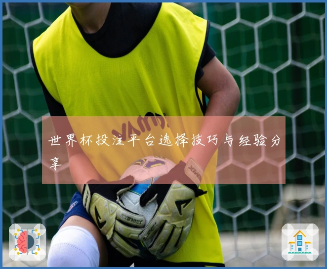 世界杯投注平台选择技巧与经验分享