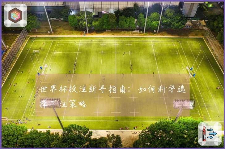世界杯投注新手指南：如何科学选择下注策略