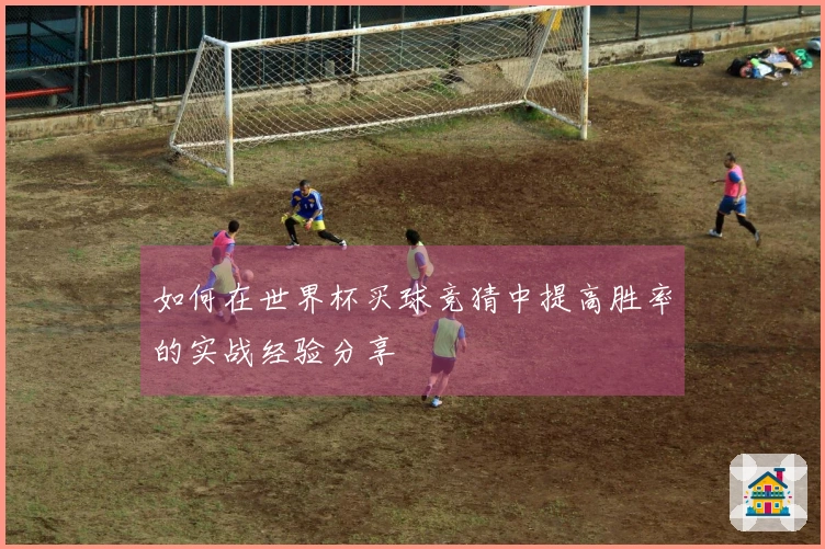 如何在世界杯买球竞猜中提高胜率的实战经验分享
