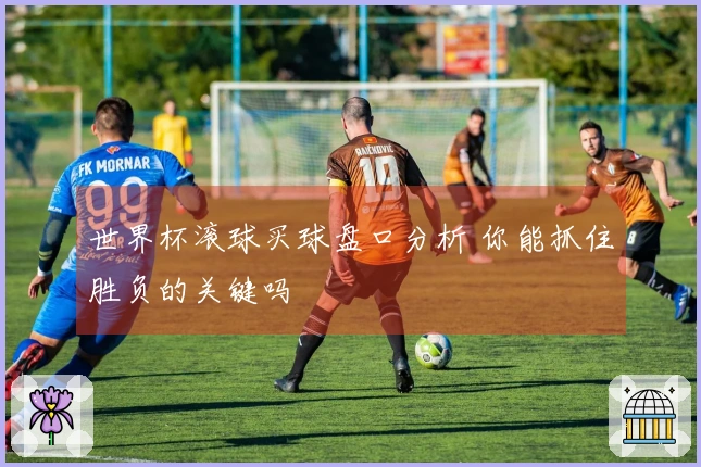 世界杯滚球买球盘口分析 你能抓住胜负的关键吗