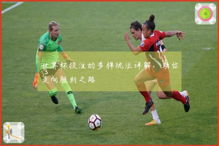 世界杯投注的多样玩法详解，助你走向胜利之路