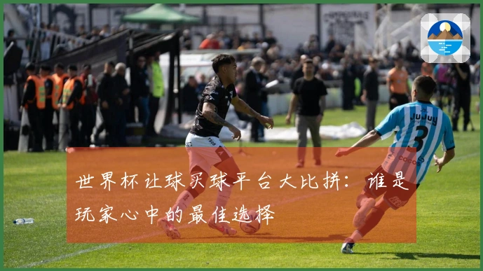 世界杯让球买球平台大比拼：谁是玩家心中的最佳选择