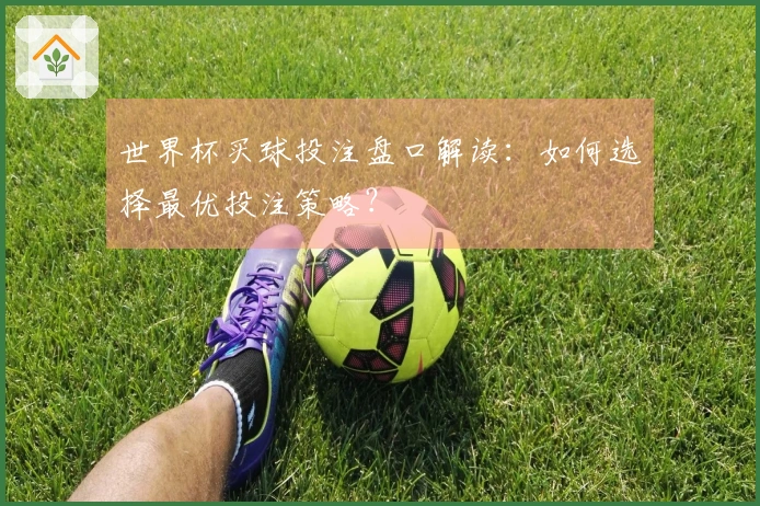世界杯买球投注盘口解读：如何选择最优投注策略？
