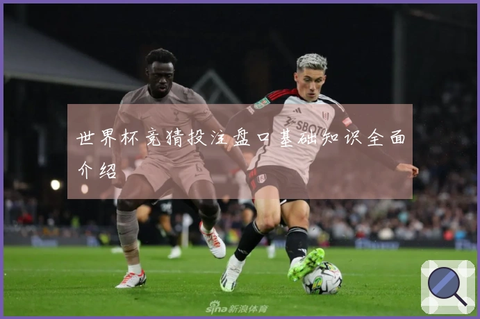 世界杯竞猜投注盘口基础知识全面介绍