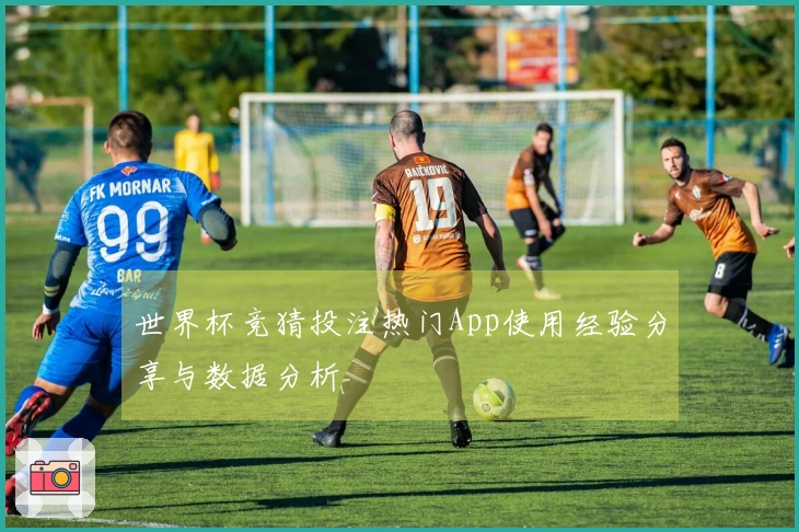世界杯竞猜投注热门App使用经验分享与数据分析