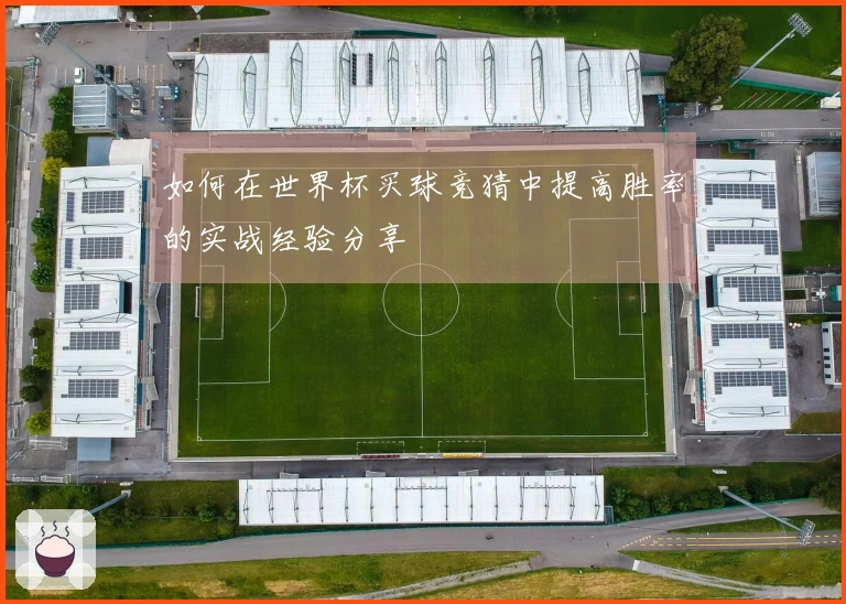 如何在世界杯买球竞猜中提高胜率的实战经验分享