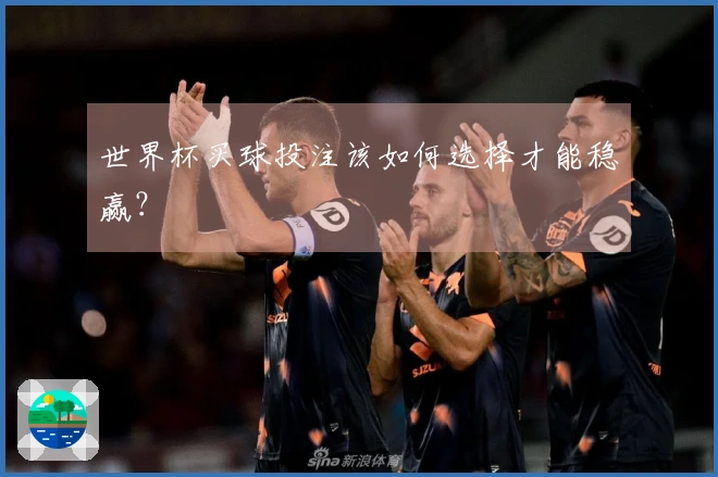 世界杯买球投注该如何选择才能稳赢？