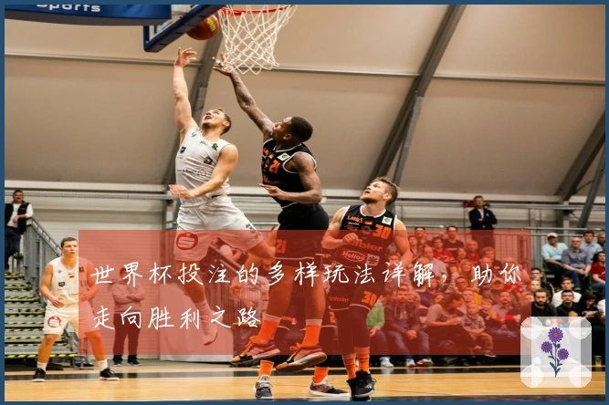 世界杯投注的多样玩法详解，助你走向胜利之路