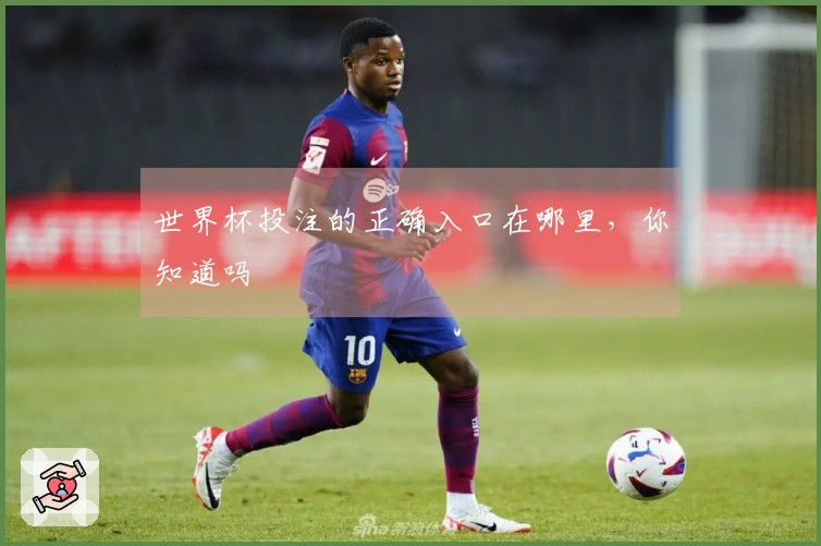 世界杯投注的正确入口在哪里，你知道吗