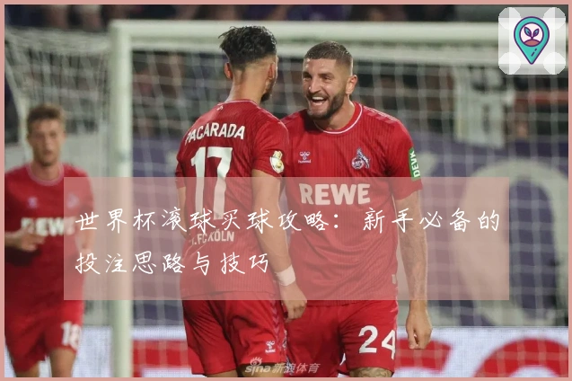 世界杯滚球买球攻略：新手必备的投注思路与技巧