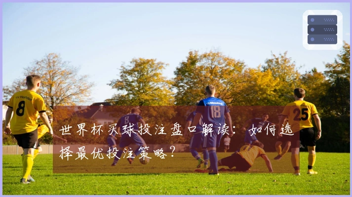 世界杯买球投注盘口解读：如何选择最优投注策略？