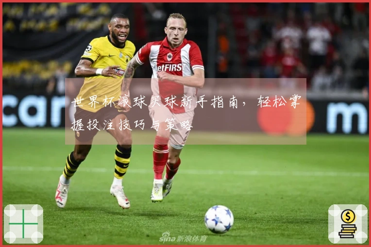 世界杯滚球买球新手指南，轻松掌握投注技巧与策略