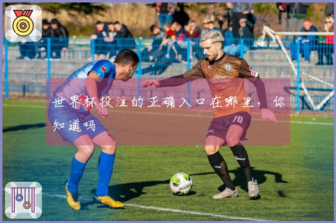世界杯投注的正确入口在哪里，你知道吗