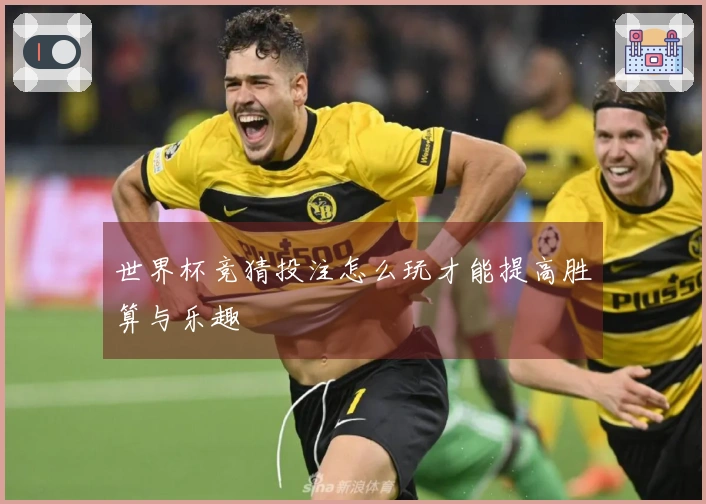 世界杯竞猜投注怎么玩才能提高胜算与乐趣
