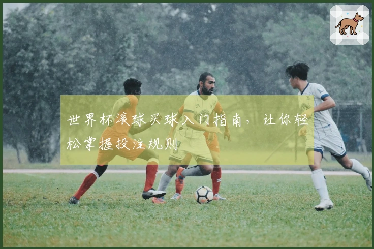 世界杯滚球买球入门指南，让你轻松掌握投注规则